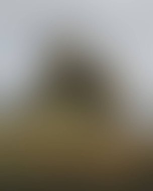 Abstract blur background of colors mixed 