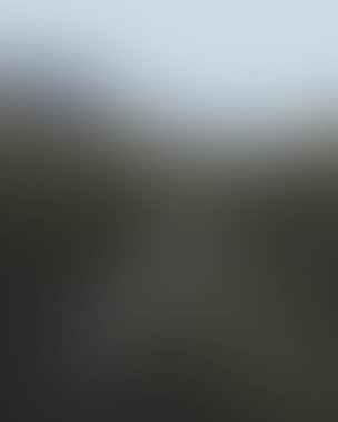 Abstract blur background of colors mixed 