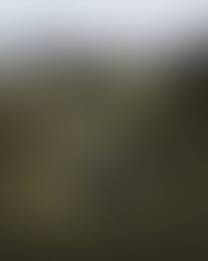 Abstract blur background of colors mixed 