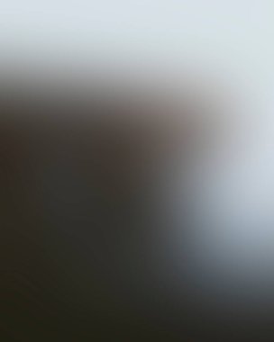 Abstract blur background of colors mixed 