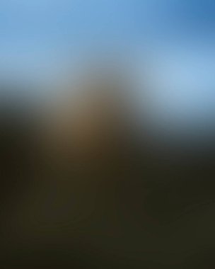 Abstract blur background of colors mixed 