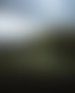 Abstract blur background of colors mixed 