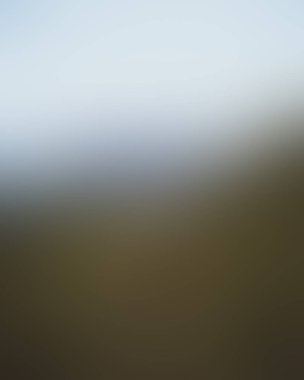 Abstract blur background of colors mixed 