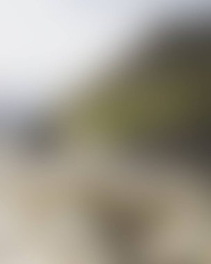 Abstract blur background of colors mixed 