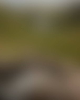 Abstract blur background of colors mixed 