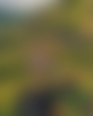 Abstract blur background of colors mixed 