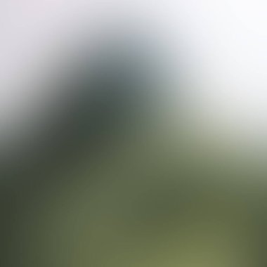 Abstract blur background of colors mixed