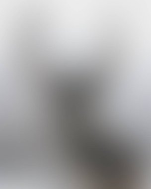 Abstract blur background of colors mixed