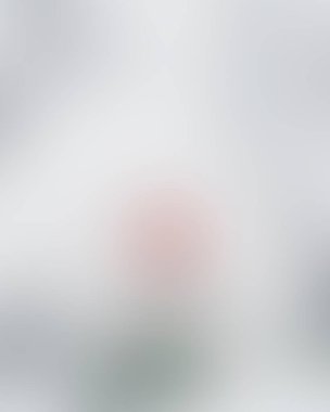 Abstract blur background of colors mixed