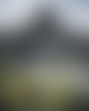 Abstract blur background of colors mixed