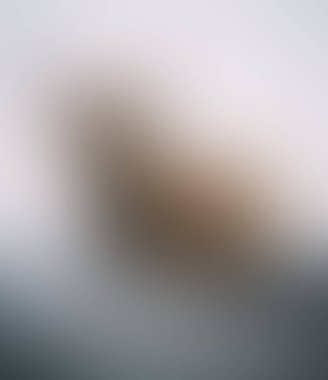 Abstract blur background of colors mixed