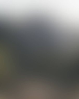 Abstract blur background of colors mixed