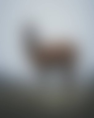 Abstract blur background of colors mixed