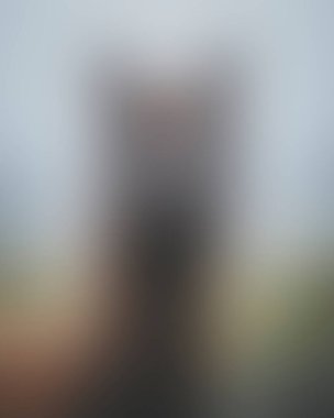 Abstract blur background of colors mixed