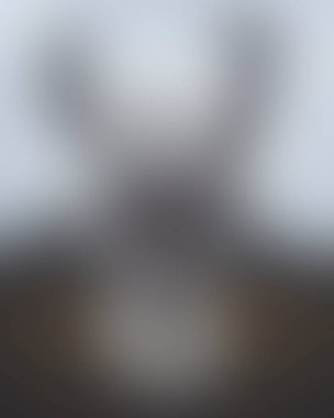 Abstract blur background of colors mixed