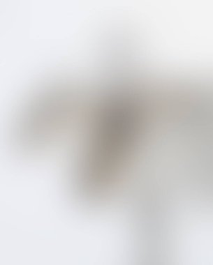 Abstract blur background of colors mixed