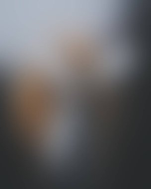 Abstract blur background of colors mixed