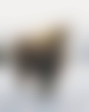 Abstract blur background of colors mixed