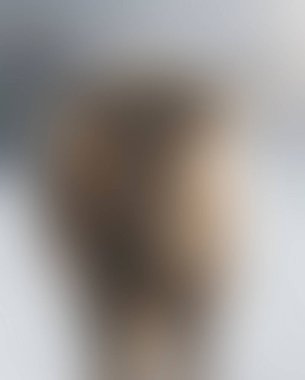 Abstract blur background of colors mixed