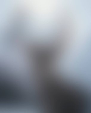 Abstract blur background of colors mixed