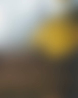 Abstract blur background of colors mixed