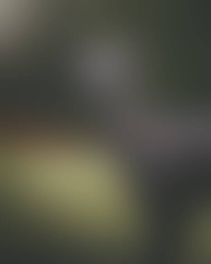 Abstract blur background of colors mixed