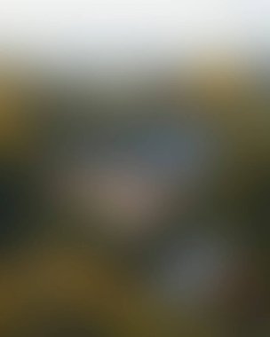 Abstract blur background of colors mixed