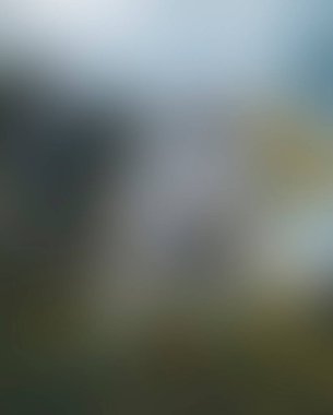 Abstract blur background of colors mixed