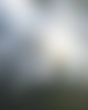 Abstract blur background of colors mixed