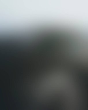 Abstract blur background of colors mixed