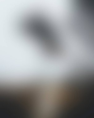 Abstract blur background of colors mixed