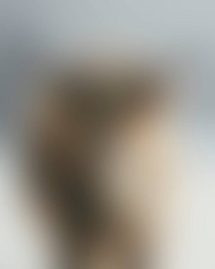 Abstract blur background of colors mixed