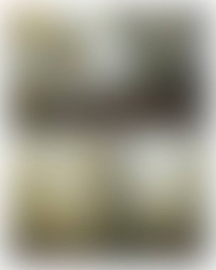 Abstract blur background of colors mixed