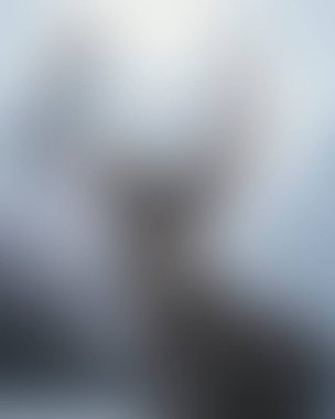 Abstract blur background of colors mixed