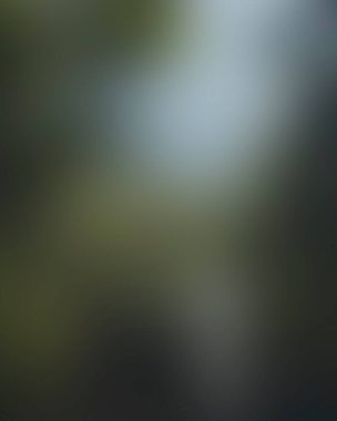 Abstract blur background of colors mixed