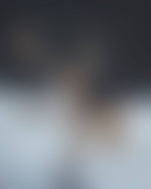 Abstract blur background of colors mixed