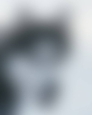 Abstract blur background of colors mixed