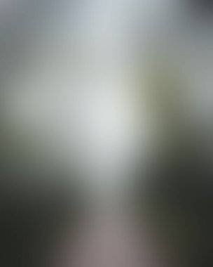 Abstract blur background of colors mixed