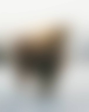 Abstract blur background of colors mixed