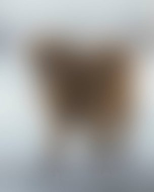 Abstract blur background of colors mixed