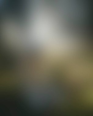 Abstract blur background of colors mixed