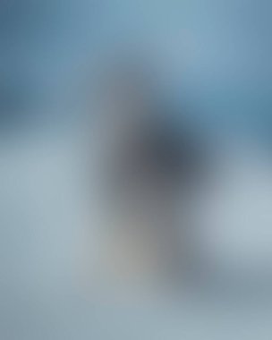 Abstract blur background of colors mixed