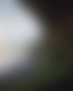 Abstract blur background of colors mixed