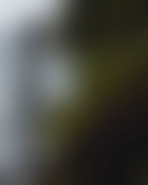 Abstract blur background of colors mixed