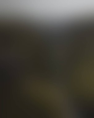 Abstract blur background of colors mixed