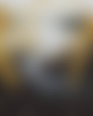 Abstract blur background of colors mixed