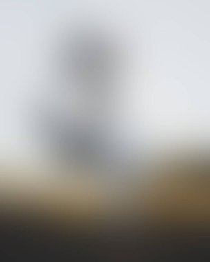 Abstract blur background of colors mixed