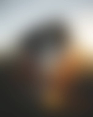 Abstract blur background of colors mixed