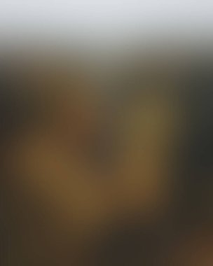 Abstract blur background of colors mixed