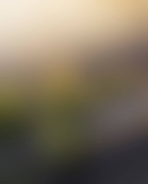 Abstract blur background of colors mixed